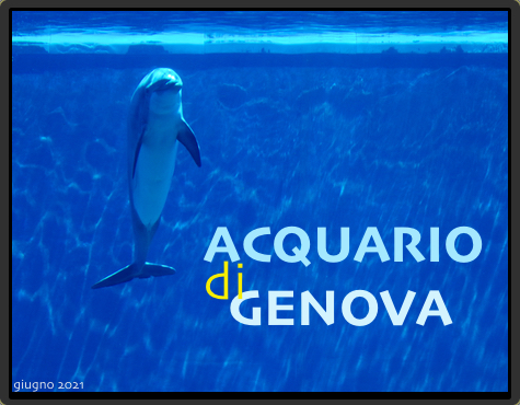 Acquario di Genova