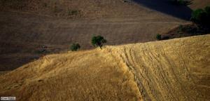 015 - trentuno luglio