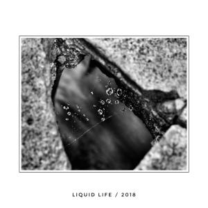 03 - liquid life