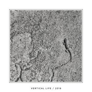 05 - vertical life