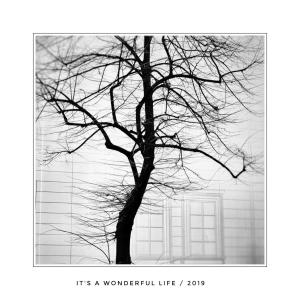 07 - it's a wonderful life