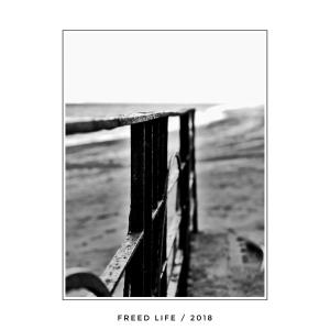 21 - freed life