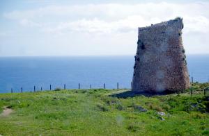 MateraPuglia_2019_00077