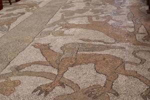 MateraPuglia_2019_00083