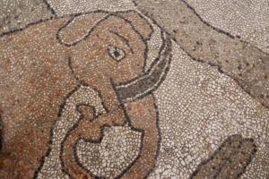 MateraPuglia_2019_00084