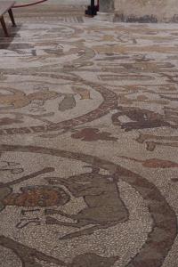 MateraPuglia_2019_00094