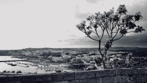 MateraPuglia_2019_00111