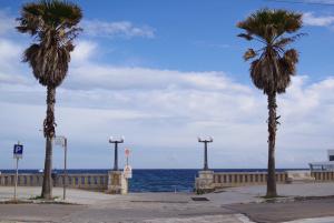 MateraPuglia_2019_00113